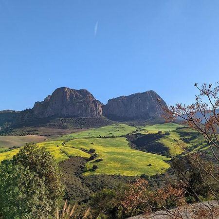Cortijo Sylvestre Bed & Breakfast Riogordo Exterior photo