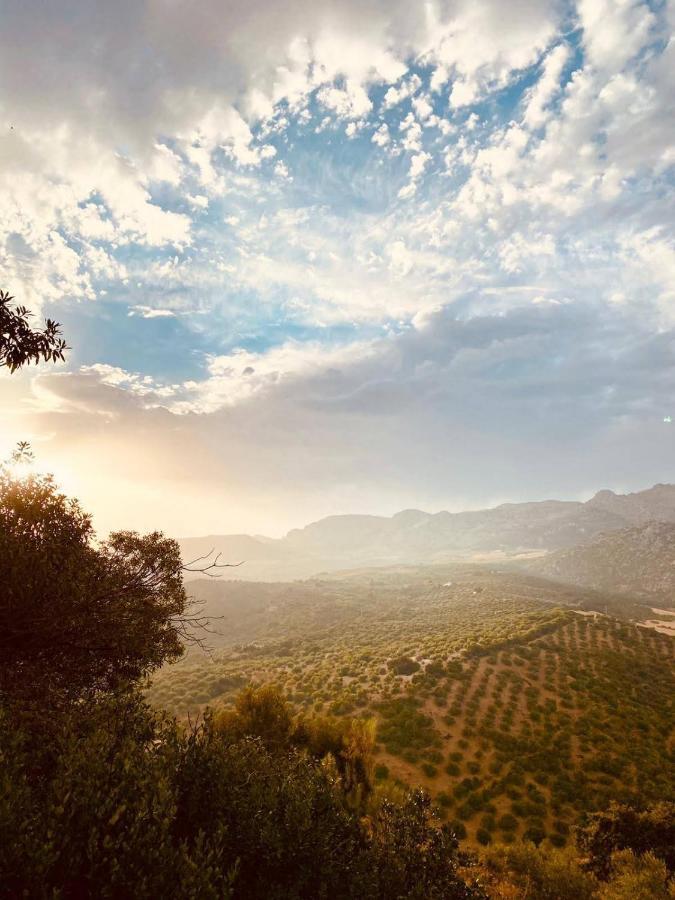 Cortijo Sylvestre Bed & Breakfast Riogordo Exterior photo